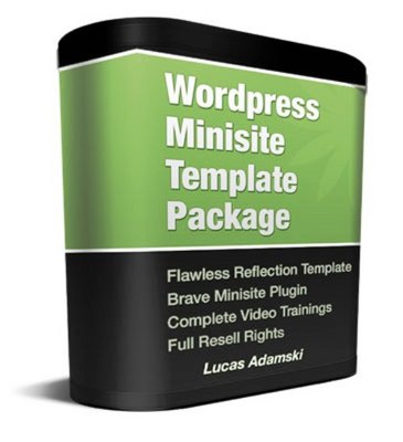 Product picture Flawless Reflection WordPress Template