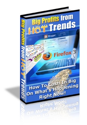 Product picture BIG Profits from HOT Trends 
